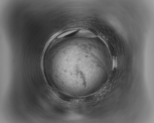 X0000116640147200912211012