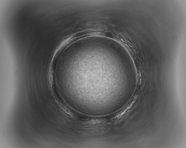 X0000116640149200912211012