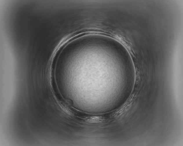 X0000116640151200912211012