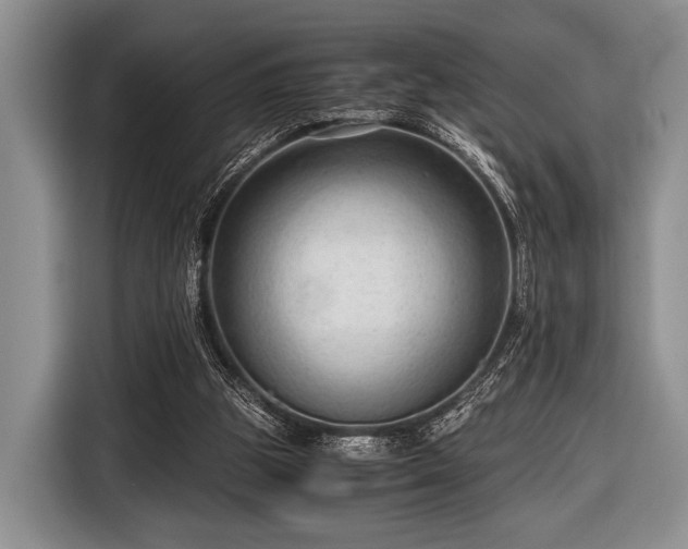 X0000116640153200912211012