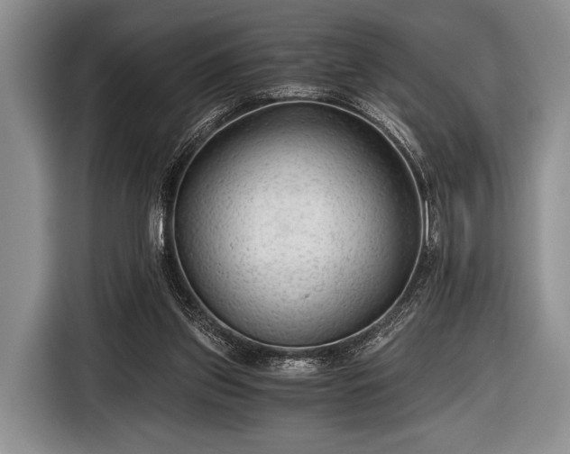 X0000116640157200912211012