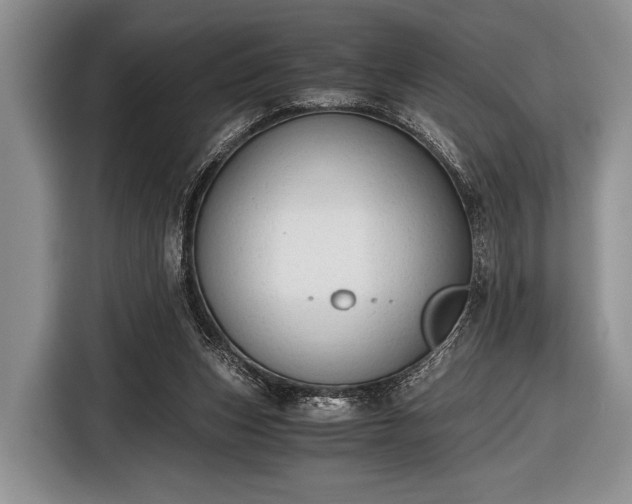 X0000116640159200912211012