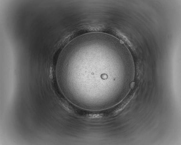 X0000116640161200912211012