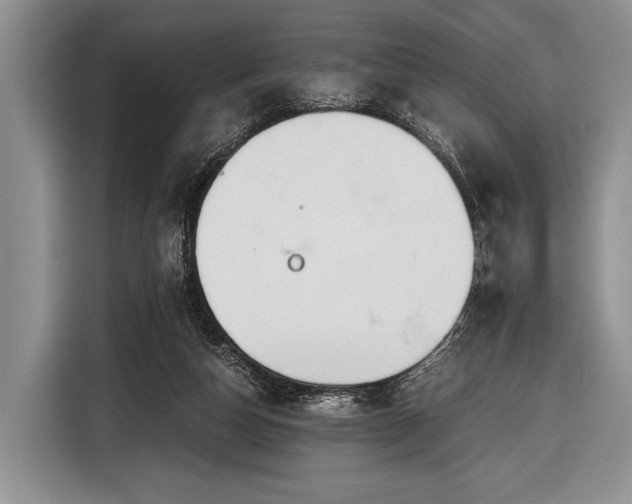 X0000116640162200912211012