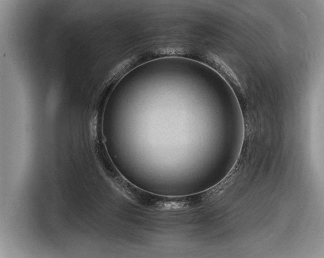 X0000116640163200912211012