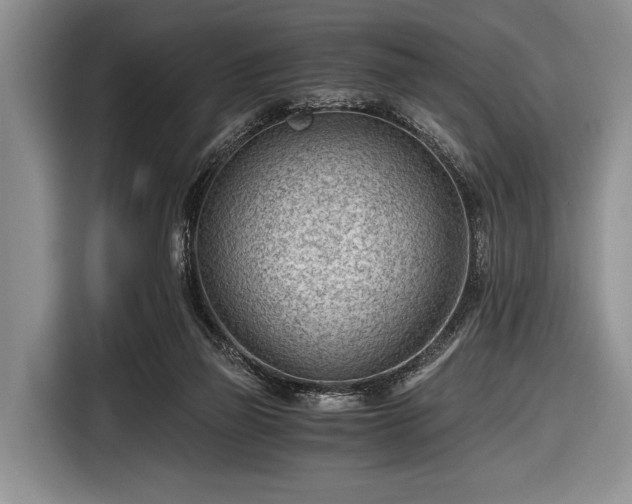 X0000116640165200912211013