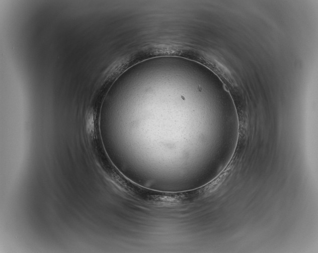 X0000116640166200912211013