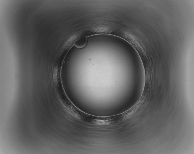 X0000116640167200912211013