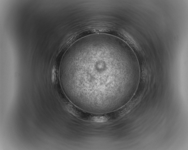 X0000116640169200912211013