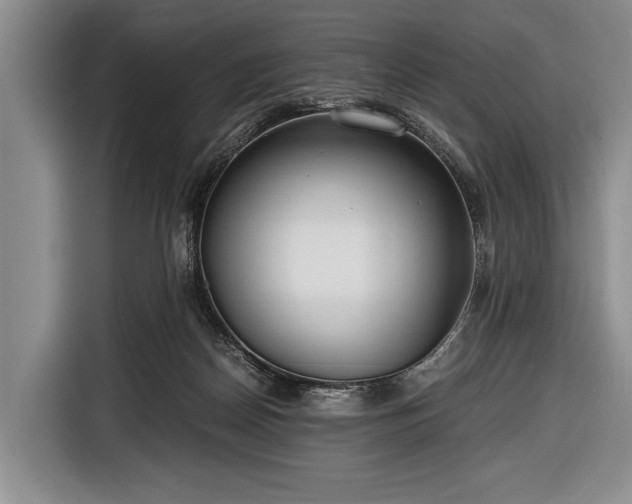 X0000116640170200912211013