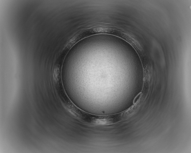 X0000116640171200912211013