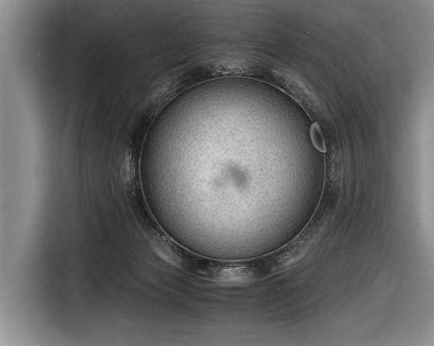 X0000116640173200912211013