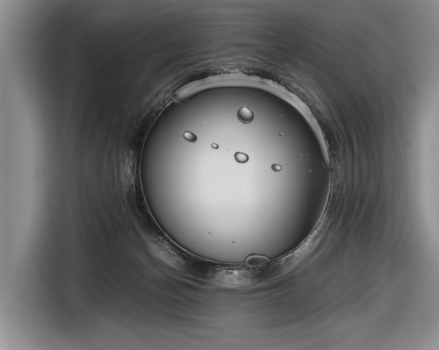 X0000116640174200912211013