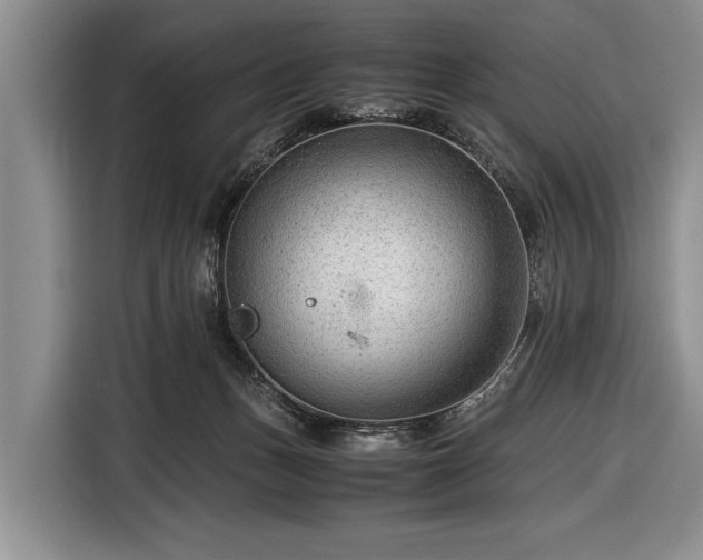 X0000116640175200912211013