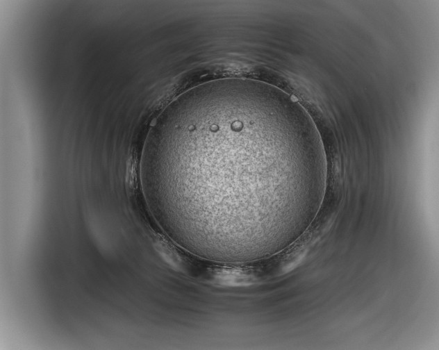 X0000116640177200912211013