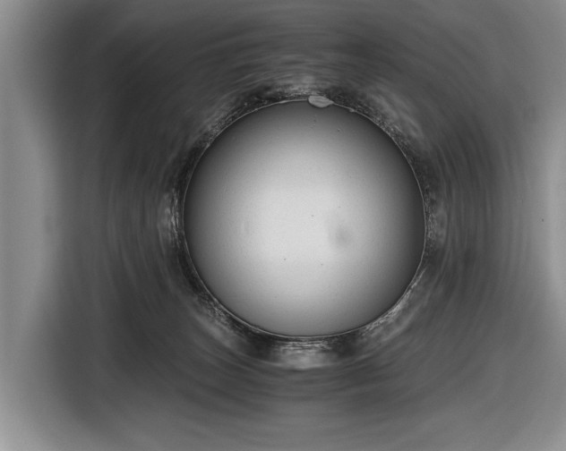 X0000116640179200912211013