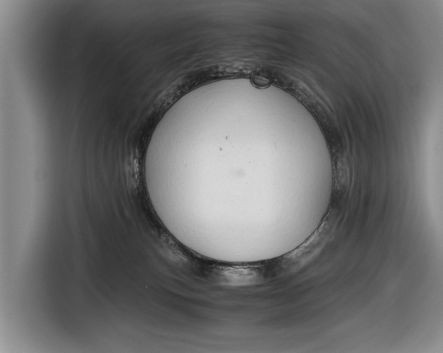 X0000116640183200912211013