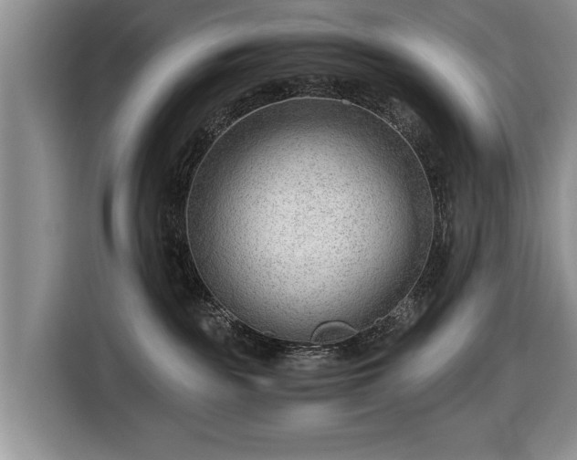 X0000116640189200912211013