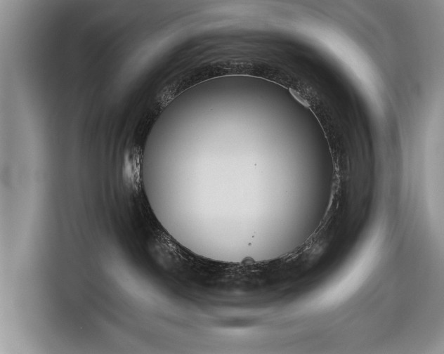 X0000116640190200912211013