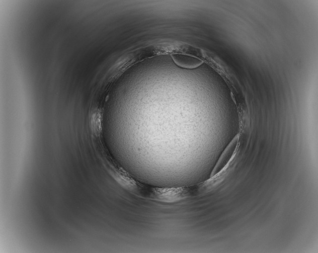 X0000116640191200912211013