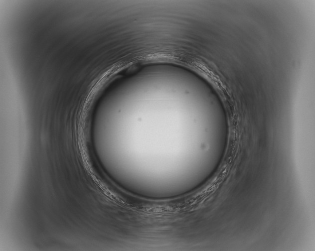 X0000116640193200912211012