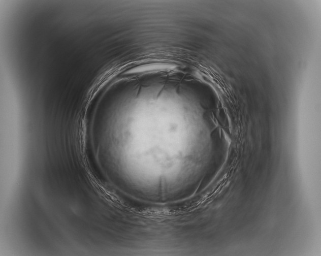 X0000116640194200912211012