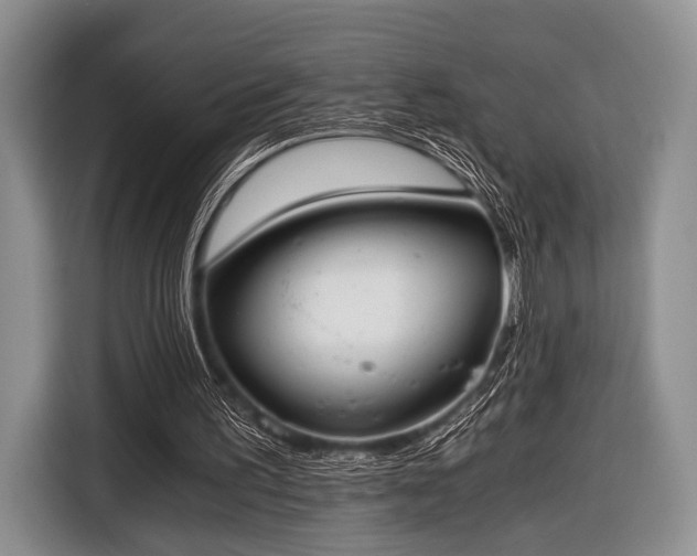 X0000116640195200912211012