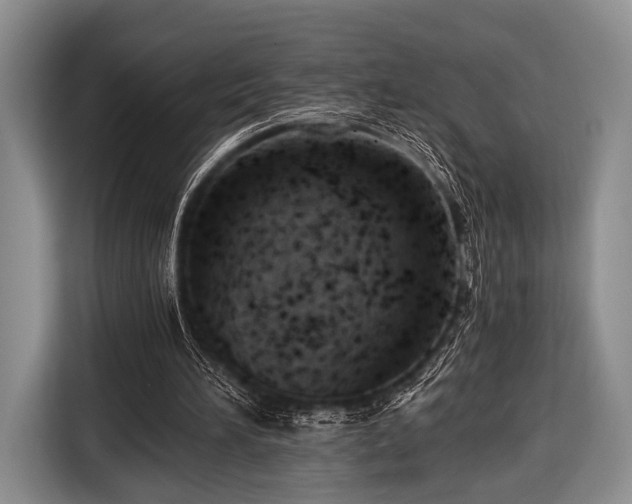 X0000116640196200912211012