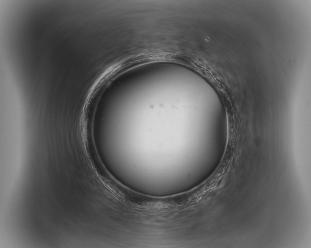 X0000116640197200912211012