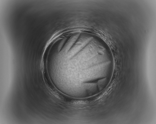 X0000116640198200912211012