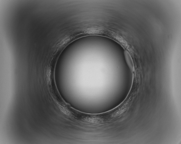 X0000116640201200912211012