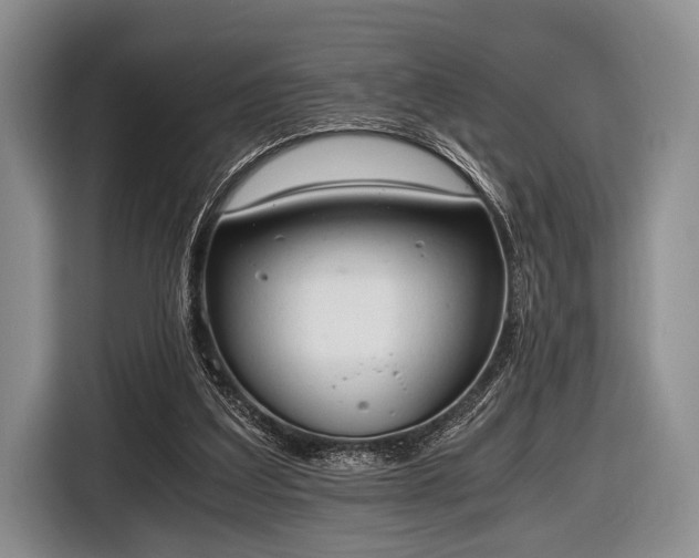 X0000116640203200912211012