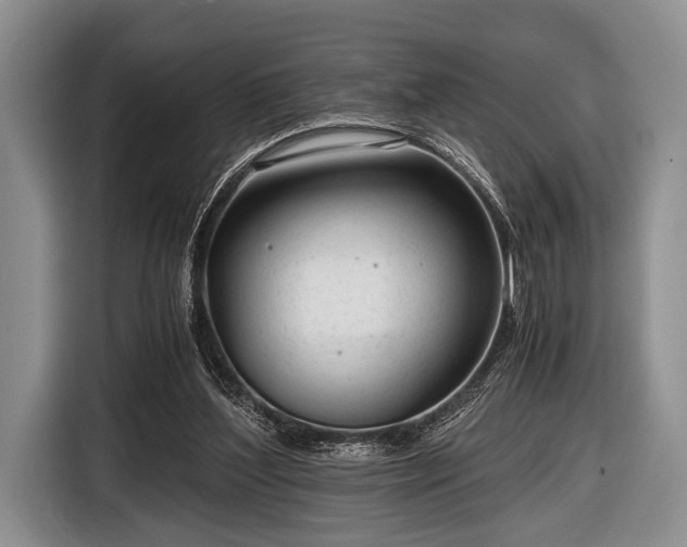 X0000116640204200912211012