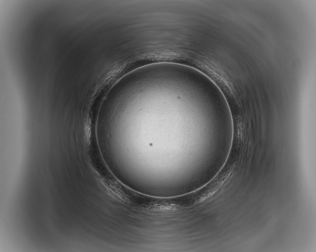 X0000116640206200912211012