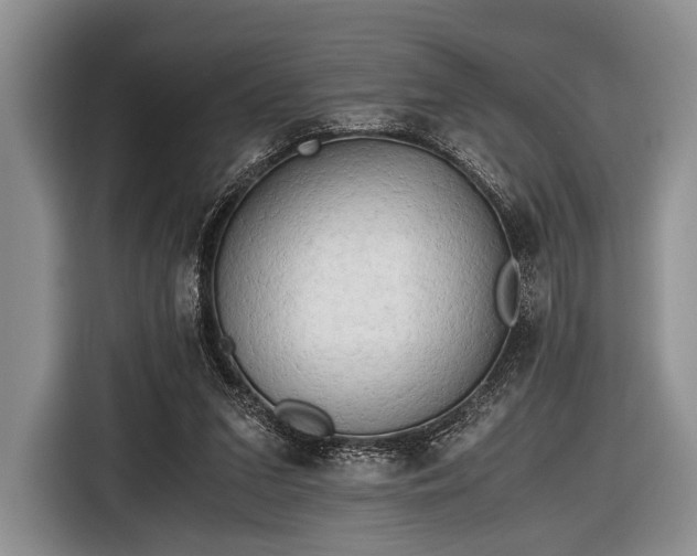 X0000116640207200912211012