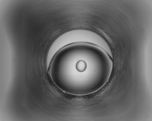 X0000116640209200912211012