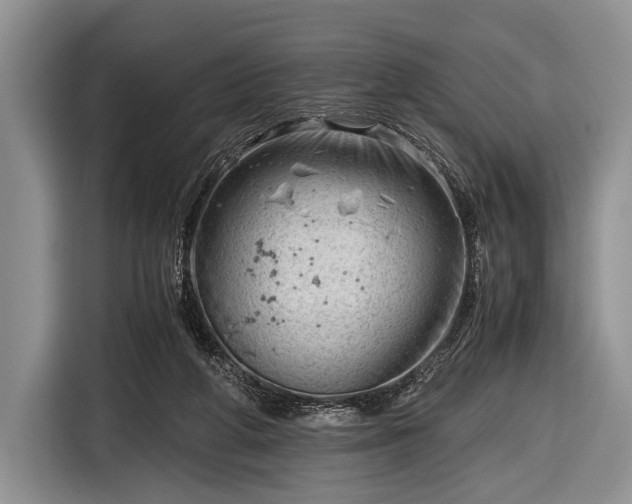 X0000116640210200912211012