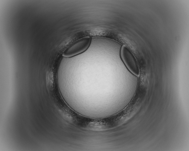 X0000116640211200912211012