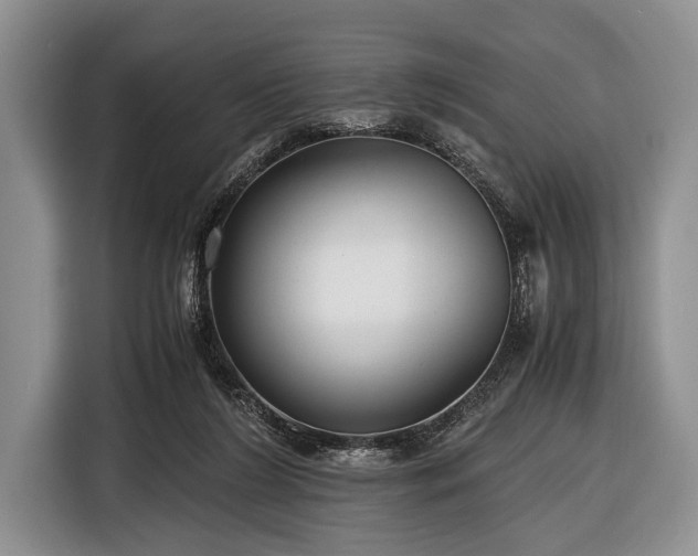 X0000116640212200912211012