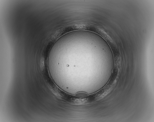 X0000116640213200912211012