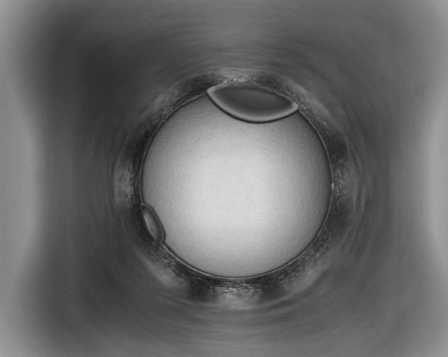 X0000116640215200912211012