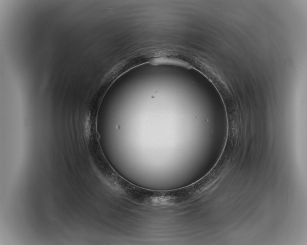 X0000116640216200912211012