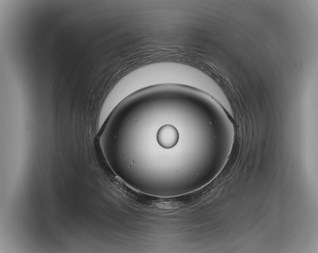 X0000116640221200912211012