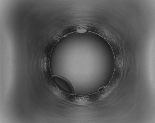 X0000116640223200912211012