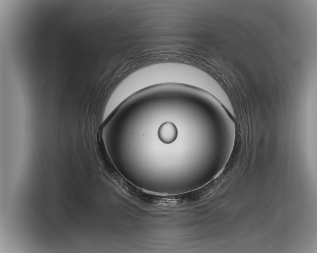 X0000116640227200912211011