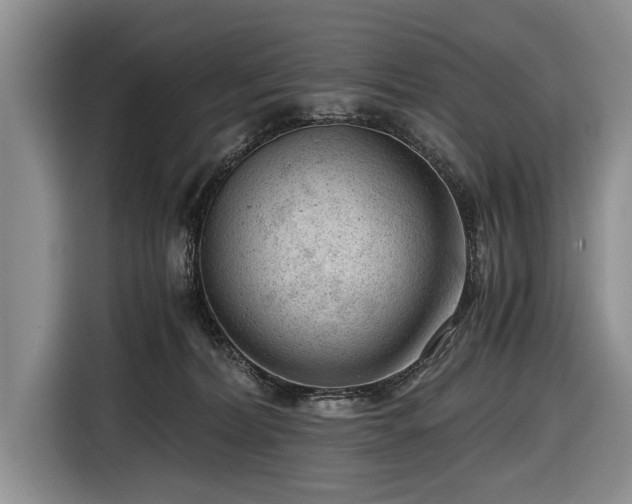 X0000116640228200912211011