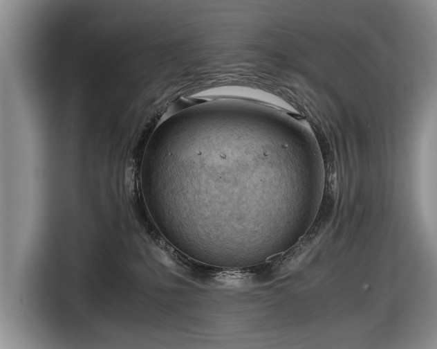 X0000116640231200912211011