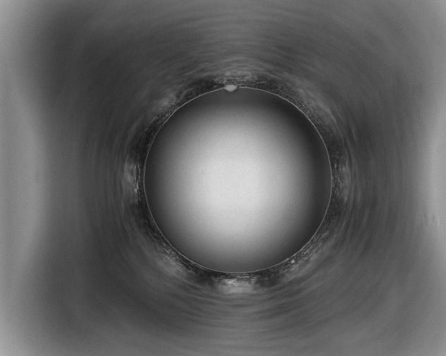 X0000116640232200912211011