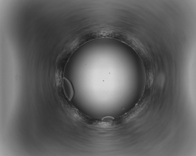 X0000116640236200912211011