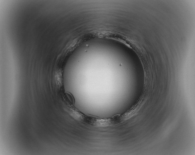 X0000116640240200912211011